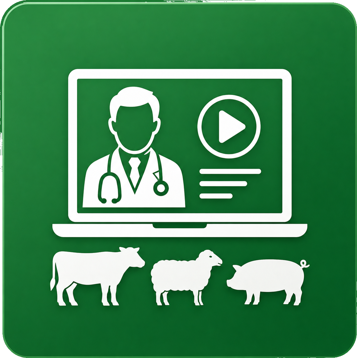 Vet led webinars