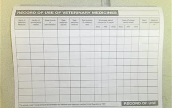Antibacterial use in cattle
