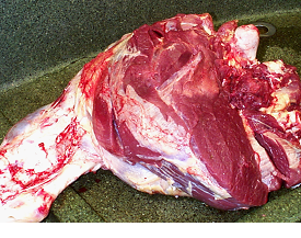 Clostridial Disease in Cattle