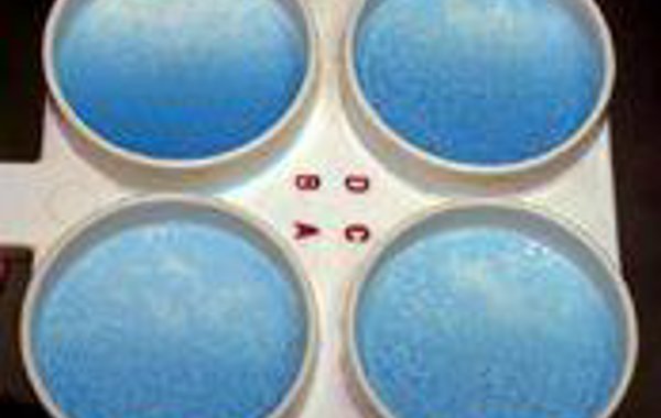 Mastitis Part 3 - Getting the most from Cell Counts