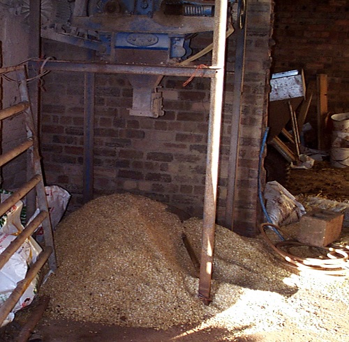 6 All sheep feed should be stored in vermin-proof facilities