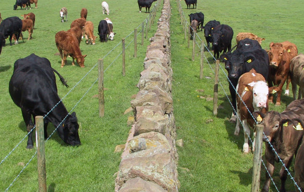 Biosecurity