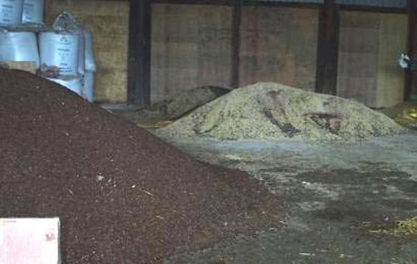 Poisoning in Cattle Non-Plant