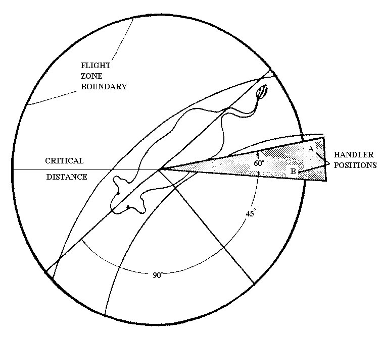 fig1