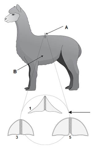 fig2