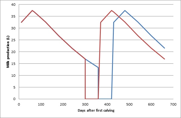 Dairy herd fertility