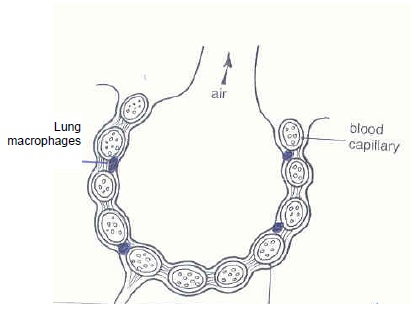 fig3