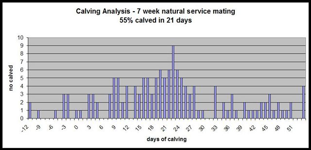 3 calving histogram