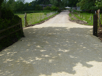 Lameness control - cow tracks