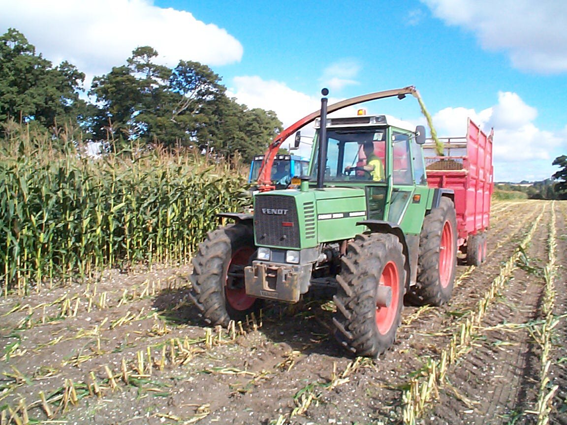 6 forage should be cut at an appropriate length