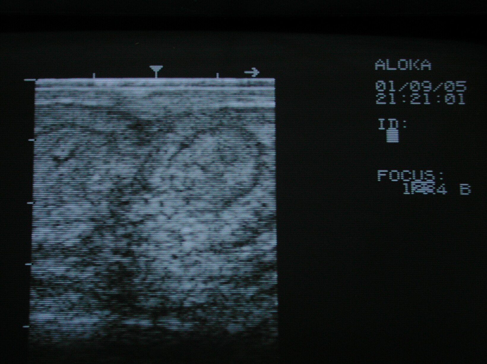 6 dairy herd fertility ultrasound empty cow