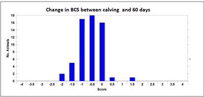 BCS F2