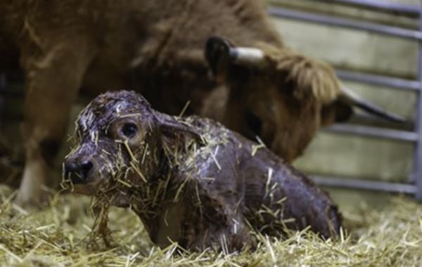 Nutrition for Health