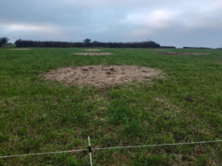 Figure 14 Bale grazed paddock in early spring.png