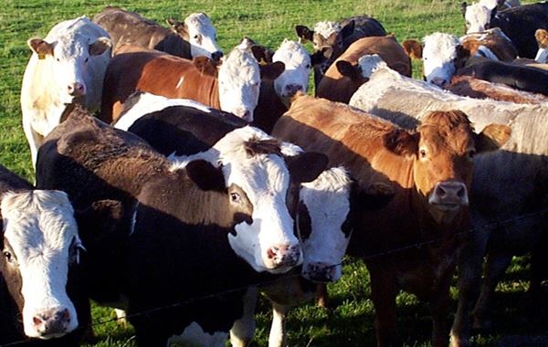 Maximising the benefit of vaccination