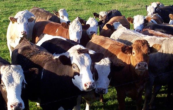 Maximising the benefit of vaccination