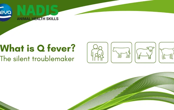 Q Fever – a disease to put on your farming radar