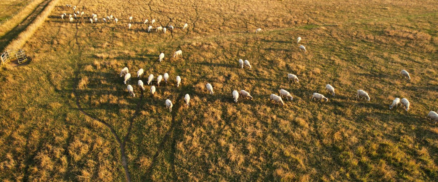 UK landscape