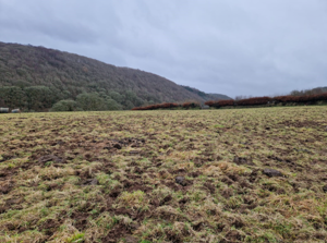 Straight after grazing the field Tom thought he had ruined.png (1)