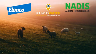 Blowfly prevention, control and costs in a changing climate